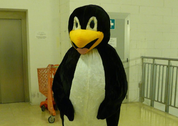 Icy il Pinguino