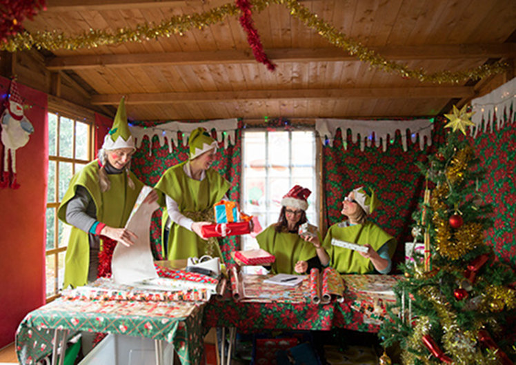 Laboratorio degli Elfi